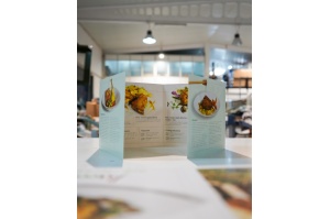 carta_desplegable_restaurante