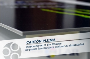 carton-pluma-perfil